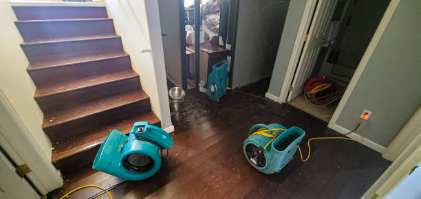 Best Fire Damage Restoration  in Tyler, TX