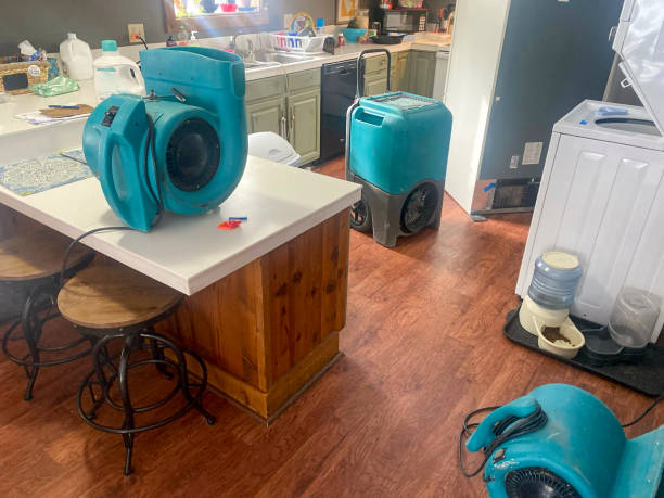 Best Carpet water damage restoration  in Tyler, TX