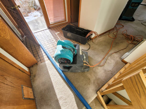 Best Emergency water damage restoration  in Tyler, TX