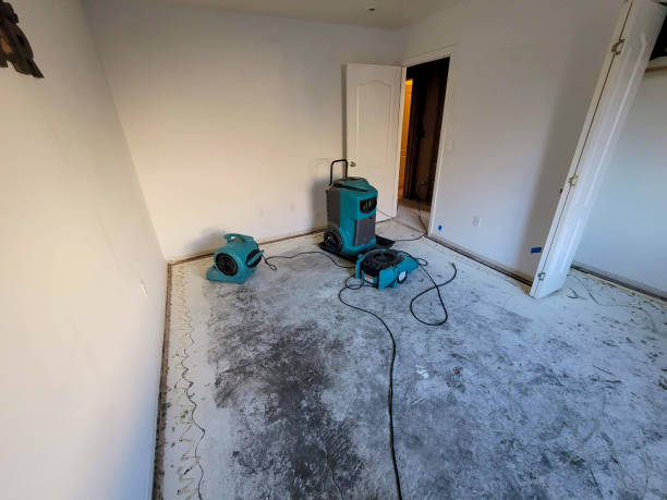 Best Flooded house restoration  in Tyler, TX
