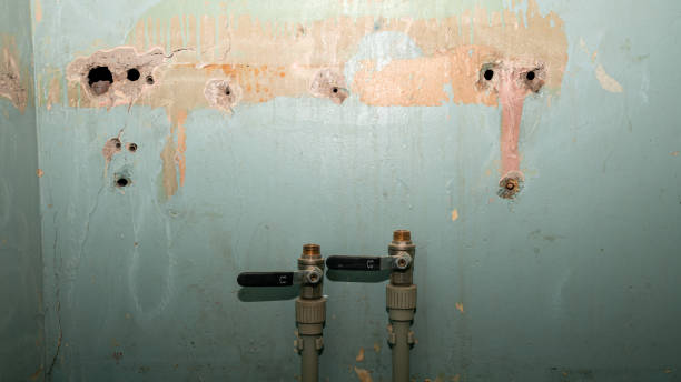 Best Emergency water damage restoration  in Tyler, TX